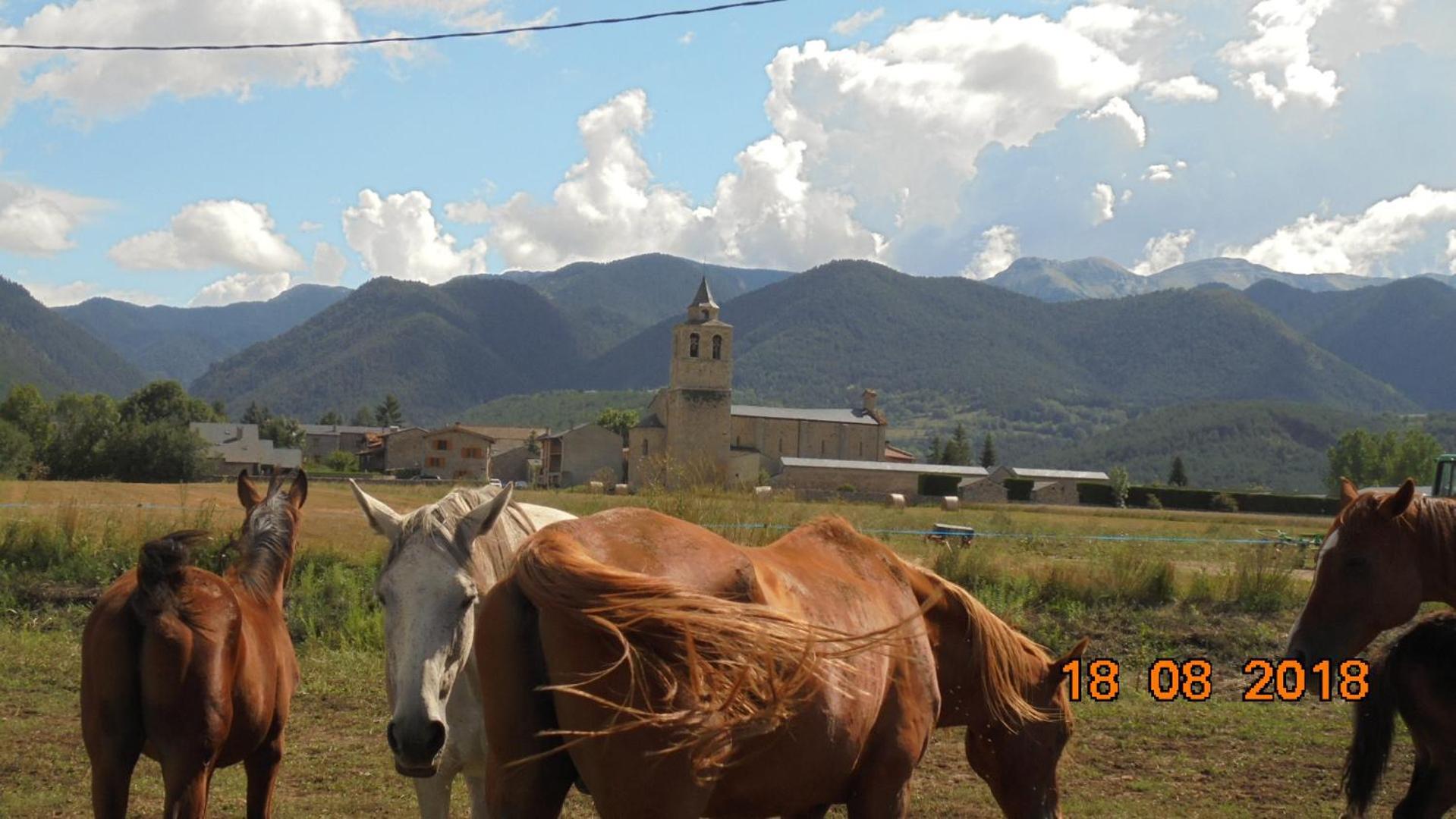 Can Vall Bellver Bellver De Cerdanya Bagian luar foto
